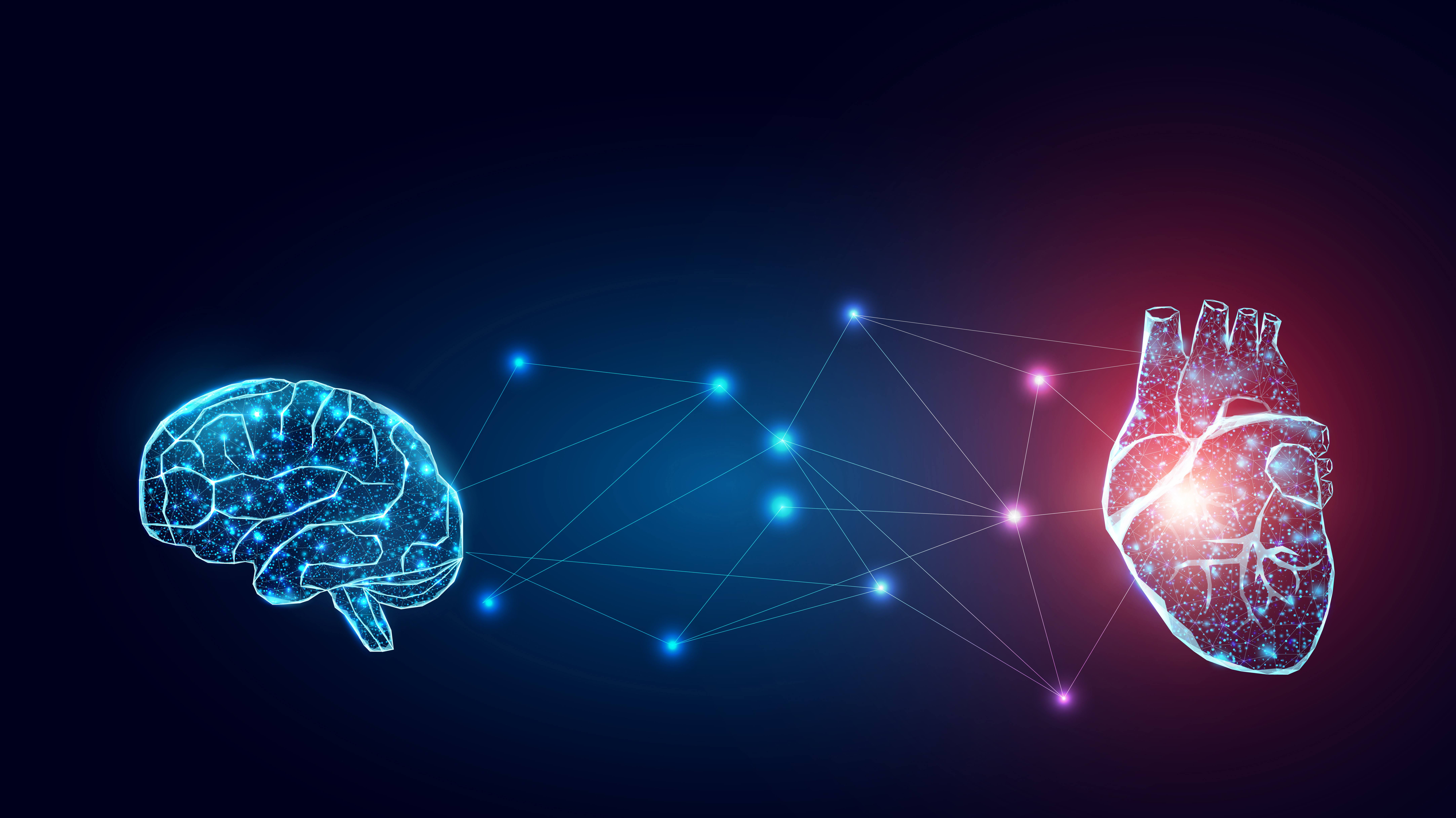 Heart-Brain Connection Research